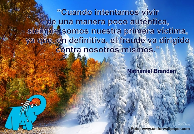 Una Enseñanza de Nathaniel Branden sobre La Coherencia, en La Frase del Día del Elefante Azul de Avilés